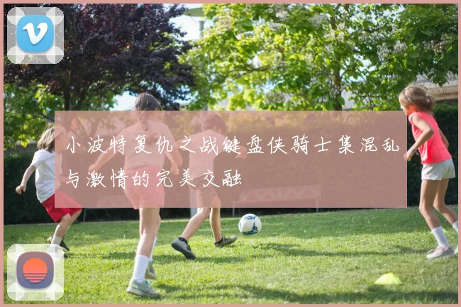 小波特复仇之战键盘侠骑士集混乱与激情的完美交融