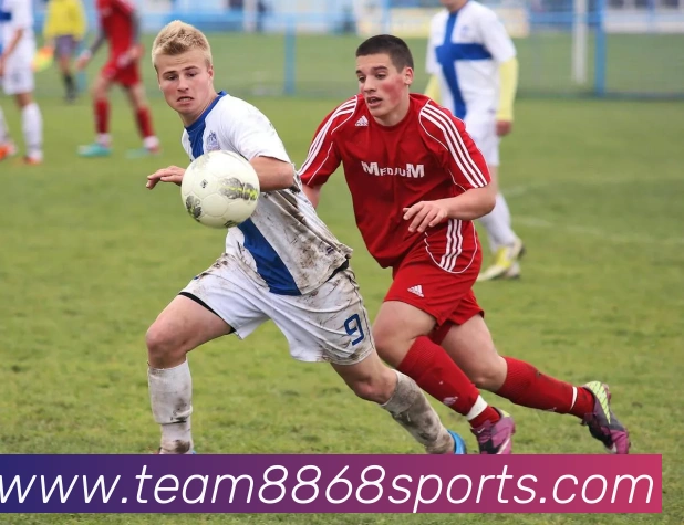 8868体育服务体系